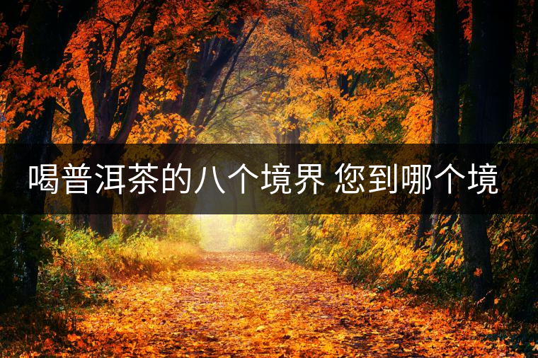 喝普洱茶的八個(gè)境界 您到哪個(gè)境界了？