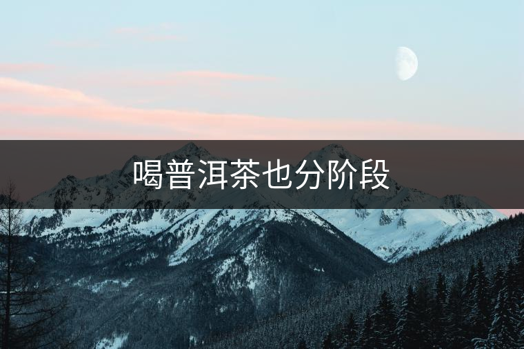 喝普洱茶也分階段 喝普洱茶也分階段