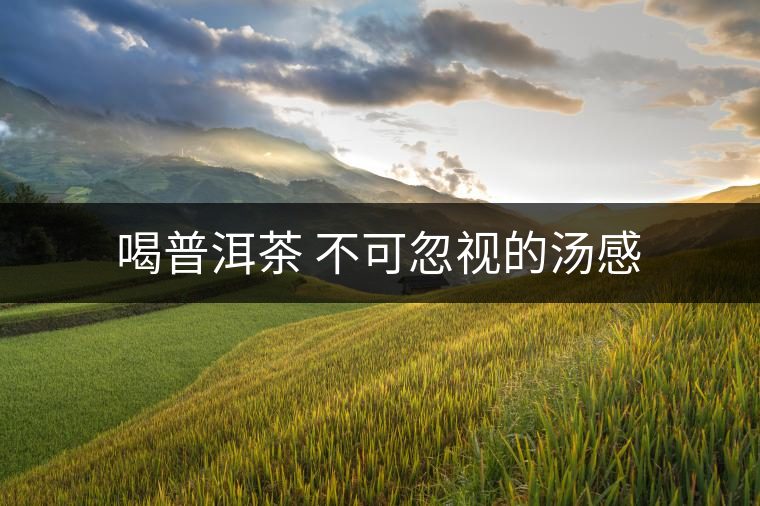 喝普洱茶 不可忽視的湯感 喝普洱茶 不可忽視的湯感