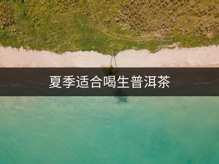 夏季適合喝生普洱茶 夏季適合喝生普洱茶