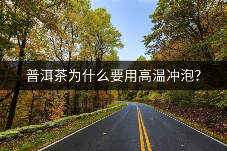 普洱茶為什么要用高溫沖泡？