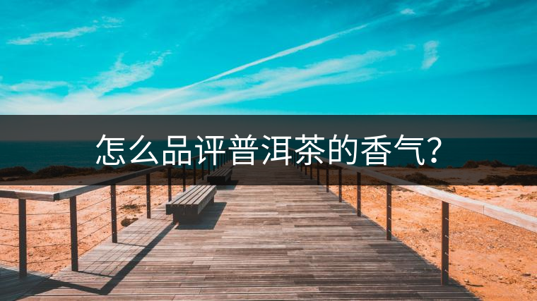 怎么品評普洱茶的香氣？