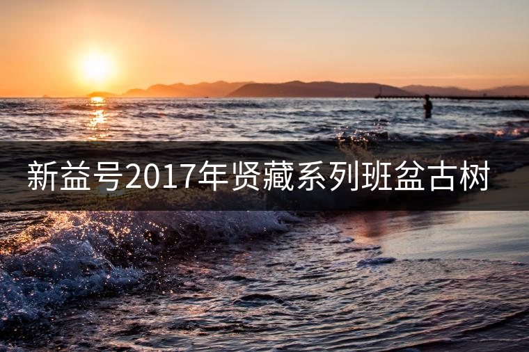 新益號(hào)2017年賢藏系列班盆古樹開湯