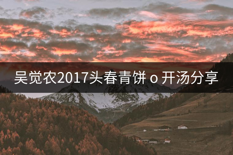 吳覺農(nóng)2017頭春青餅 o 開湯分享 吳覺農(nóng)2017頭春青餅 o 開湯分享