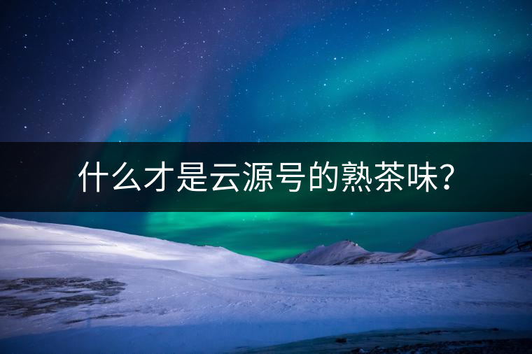 什么才是云源號(hào)的熟茶味？