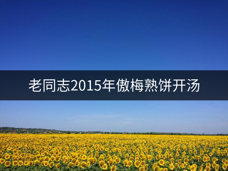 老同志2015年傲梅熟餅開湯 老同志2015年傲梅熟餅開湯
