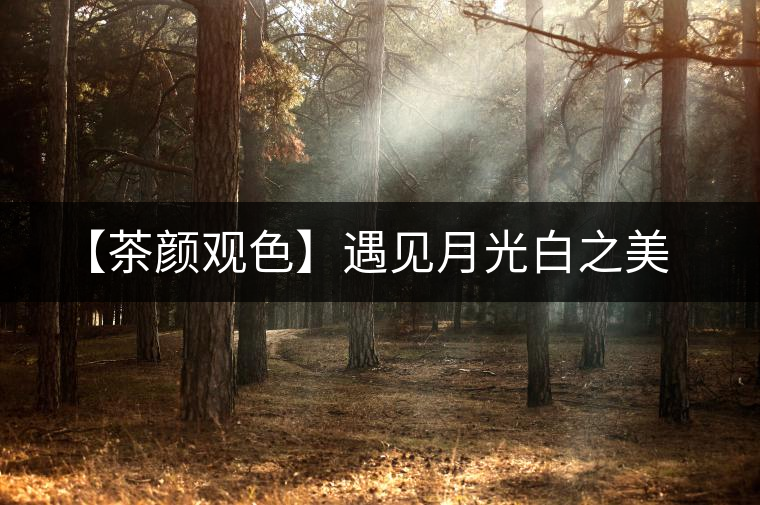 【茶顏觀色】遇見月光白之美 【茶顏觀色】遇見月光白之美