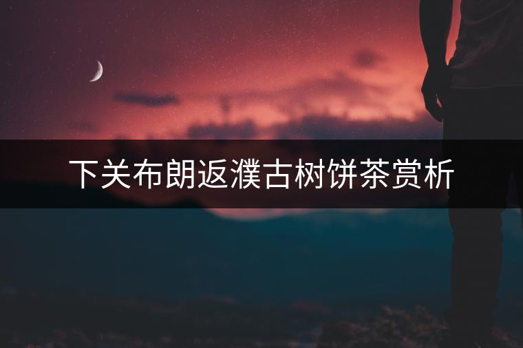 下關(guān)布朗返濮古樹餅茶賞析 下關(guān)布朗返濮古樹餅茶賞析