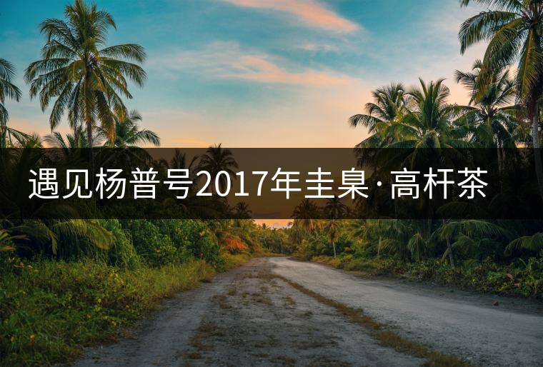 遇見楊普號2017年圭臬·高桿茶之美 遇見楊普號2017年圭臬·高桿茶之美