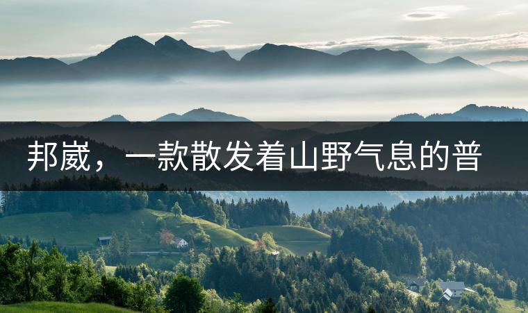 邦崴，一款散發(fā)著山野氣息的普洱