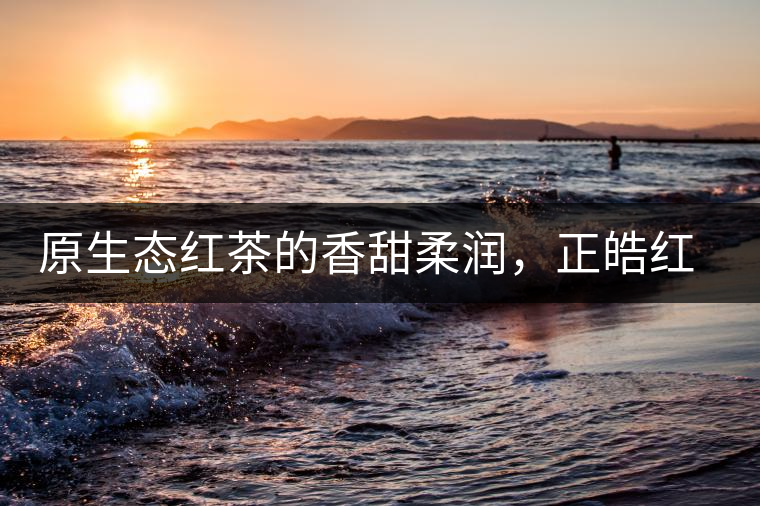 原生態(tài)紅茶的香甜柔潤(rùn)，正皓紅的魅力無可抵擋！