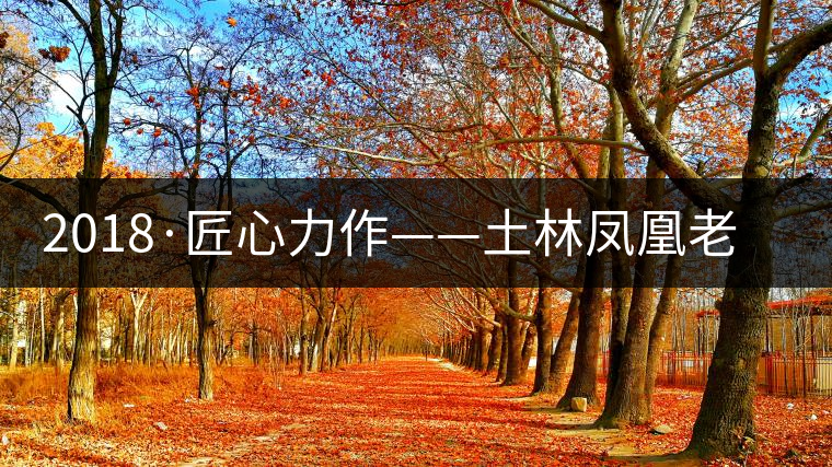 2018·匠心力作——土林鳳凰老茶頭古樹磚茶 2018·匠心力作——土林鳳凰老茶頭古樹磚茶