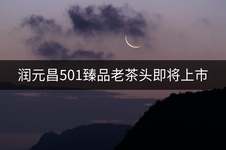 潤元昌501臻品老茶頭即將上市 潤元昌501臻品老茶頭即將上市