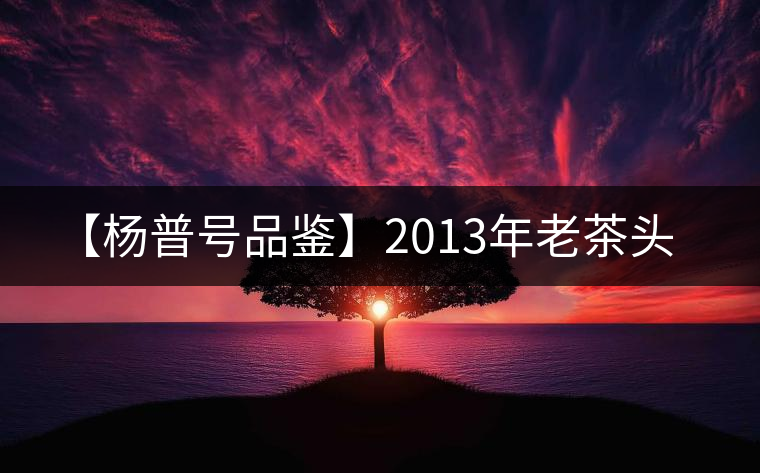 【楊普號品鑒】2013年老茶頭 【楊普號品鑒】2013年老茶頭
