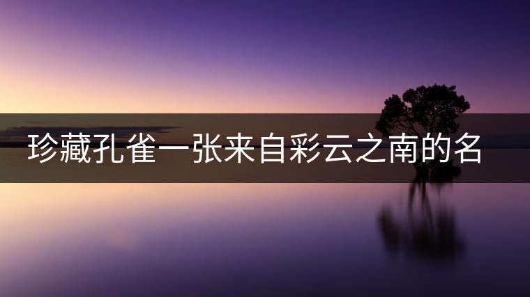 珍藏孔雀一張來自彩云之南的名片 珍藏孔雀一張來自彩云之南的名片