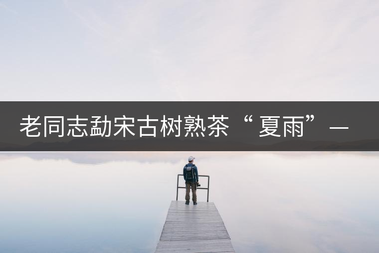 老同志勐宋古樹熟茶“ 夏雨”— 飲茶伴夏，只為您！