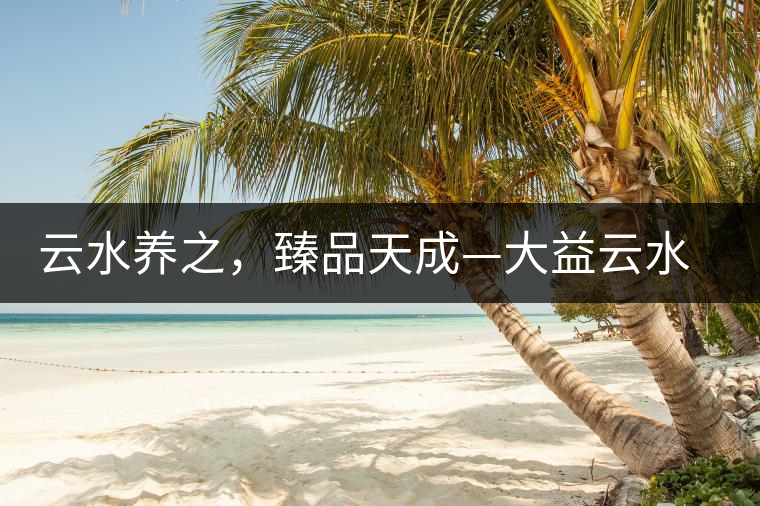 云水養(yǎng)之，臻品天成—大益云水臻開湯