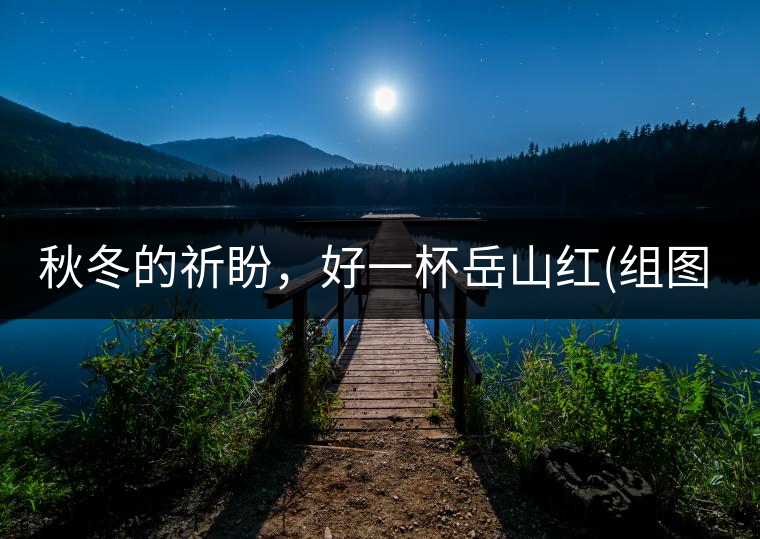 秋冬的祈盼，好一杯岳山紅(組圖)