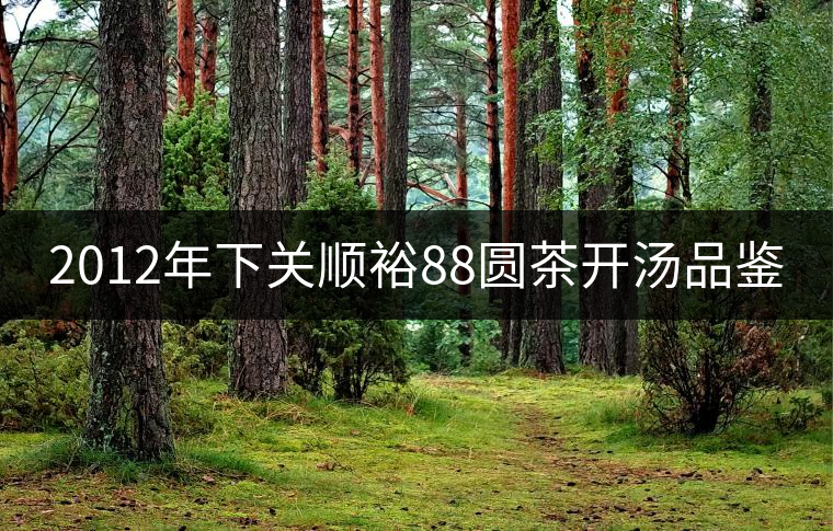 2012年下關(guān)順裕88圓茶開湯品鑒