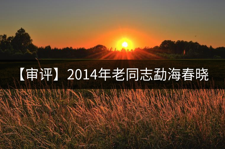 【審評】2014年老同志勐海春曉(生餅) 【審評】2014年老同志勐海春曉(生餅)
