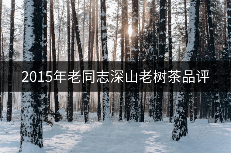 2015年老同志深山老樹茶品評(píng) 2015年老同志深山老樹茶品評(píng)