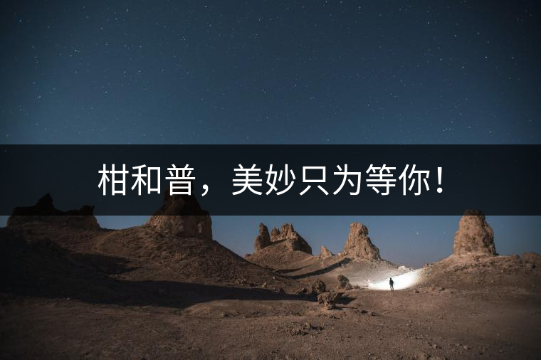 柑和普，美妙只為等你！