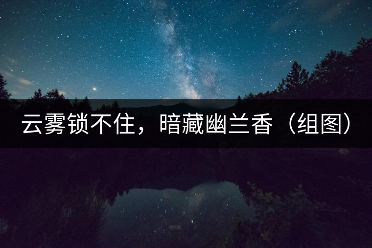 云霧鎖不住，暗藏幽蘭香（組圖）