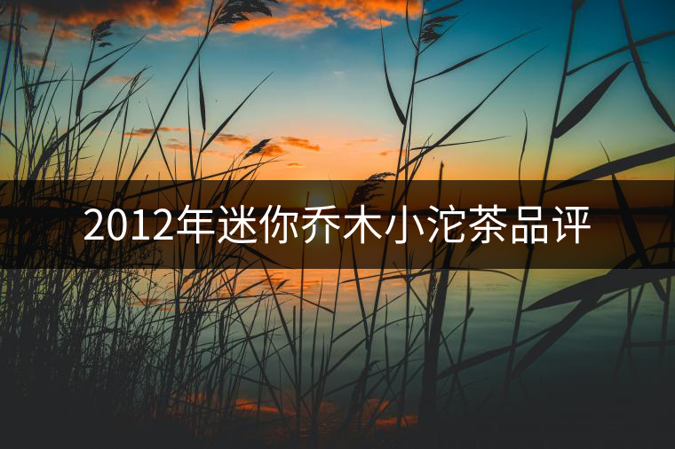 2012年迷你喬木小沱茶品評(píng) 2012年迷你喬木小沱茶品評(píng)
