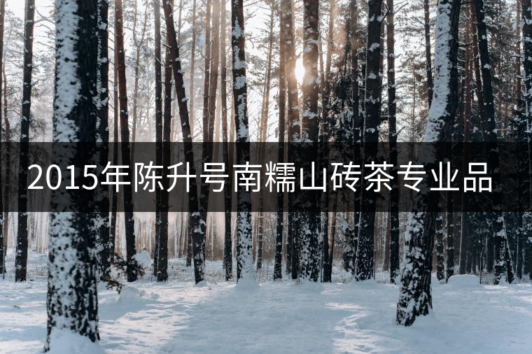 2015年陳升號(hào)南糯山磚茶專業(yè)品評(píng) 2015年陳升號(hào)南糯山磚茶專業(yè)品評(píng)