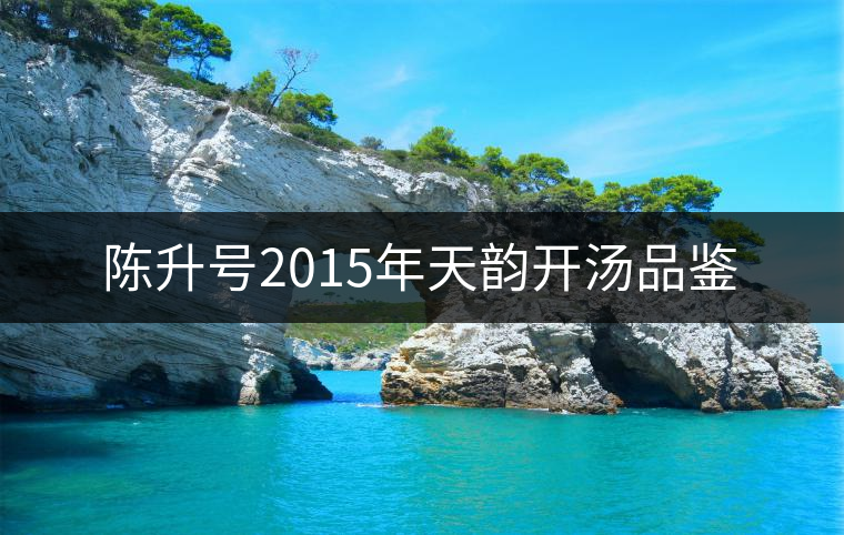 陳升號(hào)2015年天韻開(kāi)湯品鑒 陳升號(hào)2015年天韻開(kāi)湯品鑒