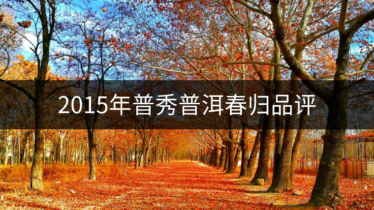 2015年普秀普洱春歸品評 2015年普秀普洱春歸品評