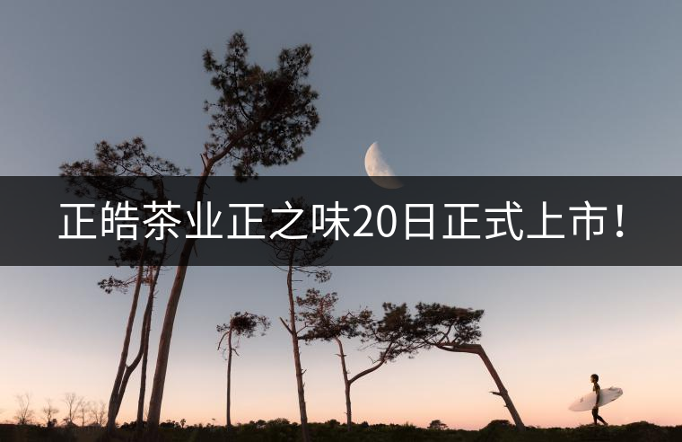 正皓茶業(yè)正之味20日正式上市！