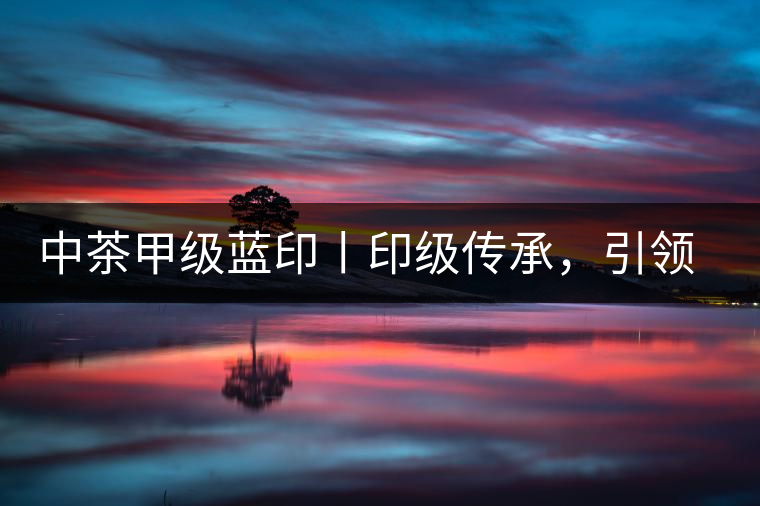 中茶甲級藍(lán)印丨印級傳承，引領(lǐng)風(fēng)韻