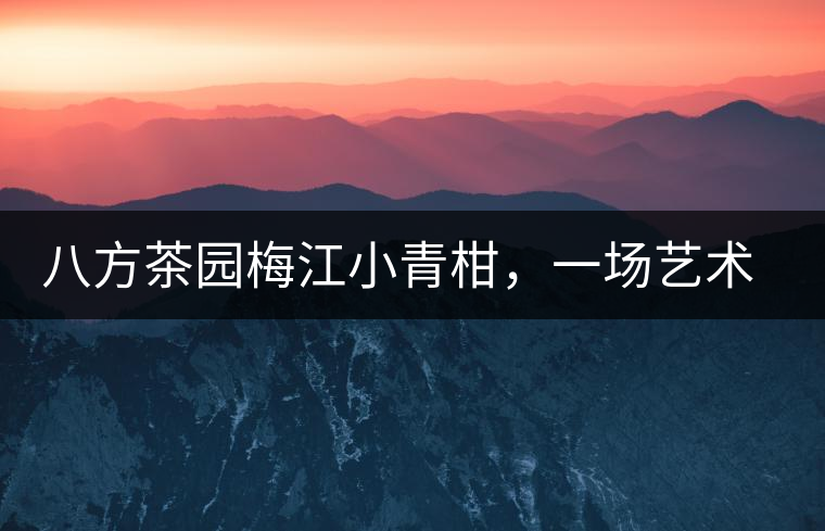 八方茶園梅江小青柑，一場藝術(shù)巔峰的際會【新品上市】！