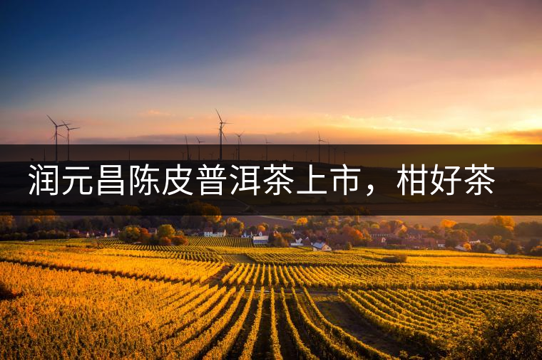 潤(rùn)元昌陳皮普洱茶上市，柑好茶更好，精品普洱茶