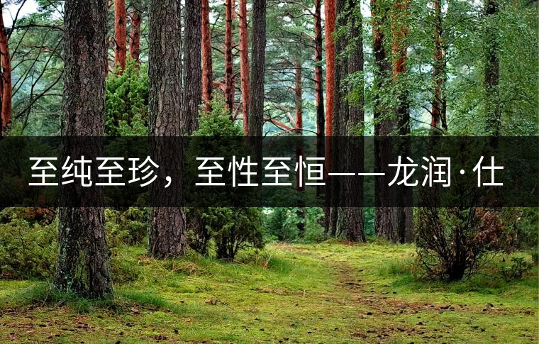 至純至珍，至性至恒——龍潤(rùn)·仕通茶新上市！