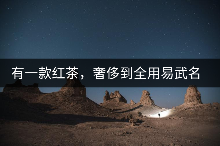 有一款紅茶，奢侈到全用易武名寨古樹(shù)茶發(fā)酵！