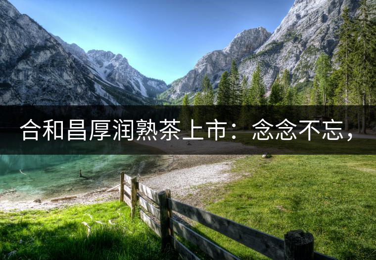 合和昌厚潤熟茶上市：念念不忘，必有回響！