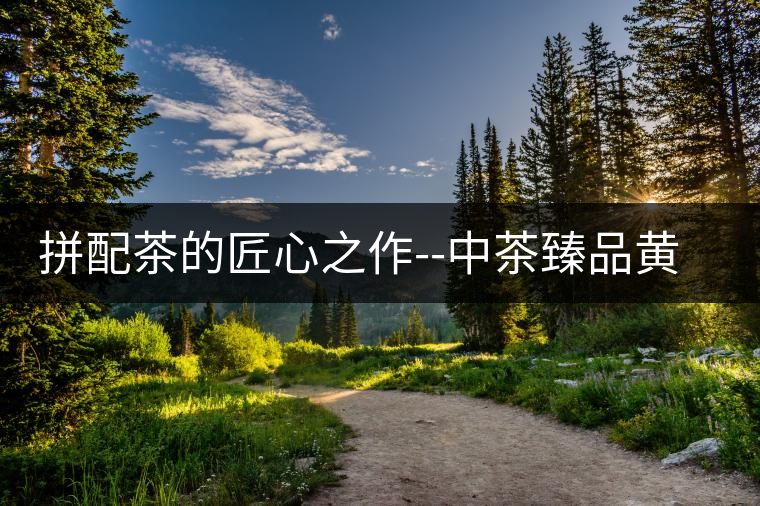 拼配茶的匠心之作--中茶臻品黃印青餅 拼配茶的匠心之作--中茶臻品黃印青餅