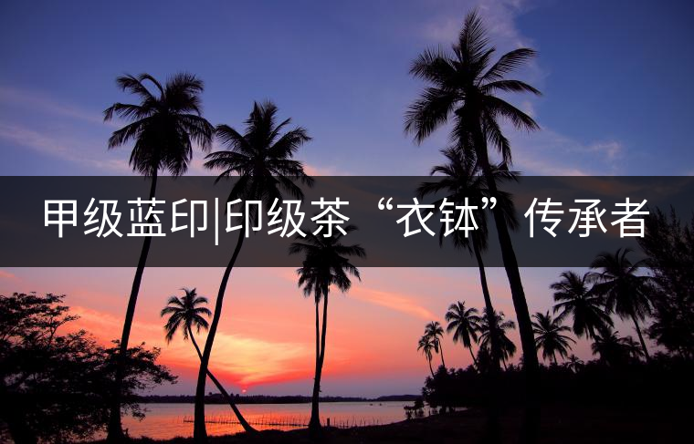 甲級藍印|印級茶“衣缽”傳承者 甲級藍印|印級茶“衣缽”傳承者