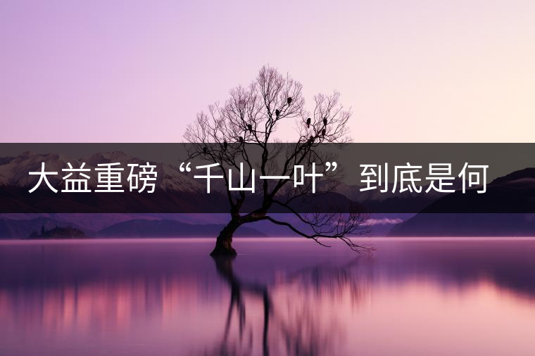 大益重磅“千山一葉”到底是何方神圣？