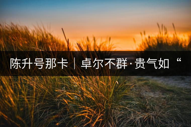 陳升號那卡|卓爾不群·貴氣如“王” 陳升號那卡|卓爾不群·貴氣如“王”