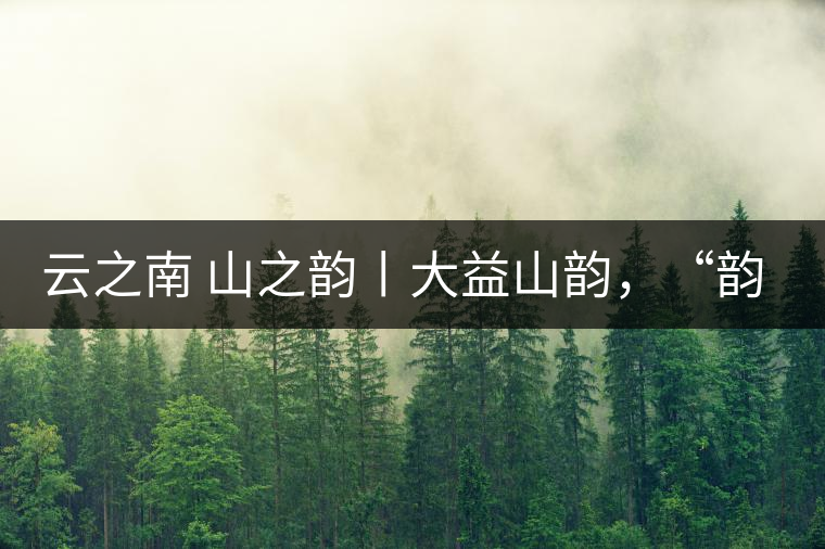 云之南 山之韻丨大益山韻，“韻”味傳奇之山韻歸來