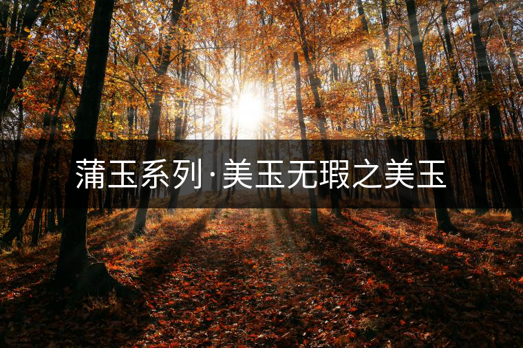 蒲玉系列·美玉無瑕之美玉 蒲玉系列·美玉無瑕之美玉