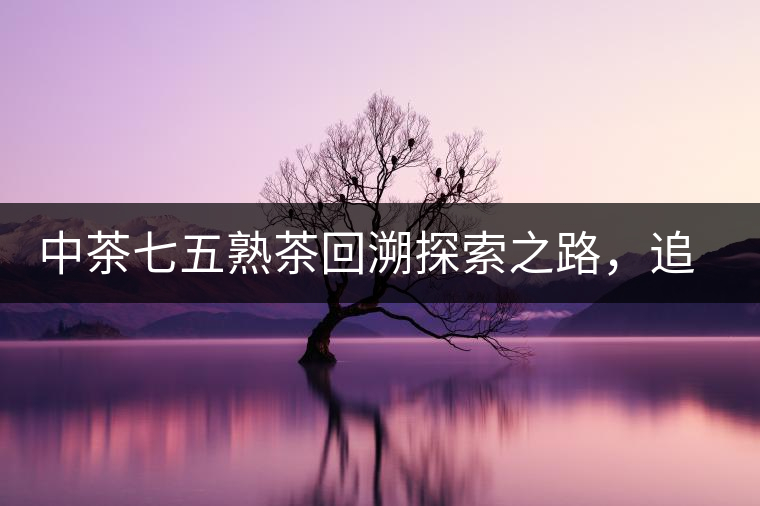 中茶七五熟茶回溯探索之路，追尋歷史印跡