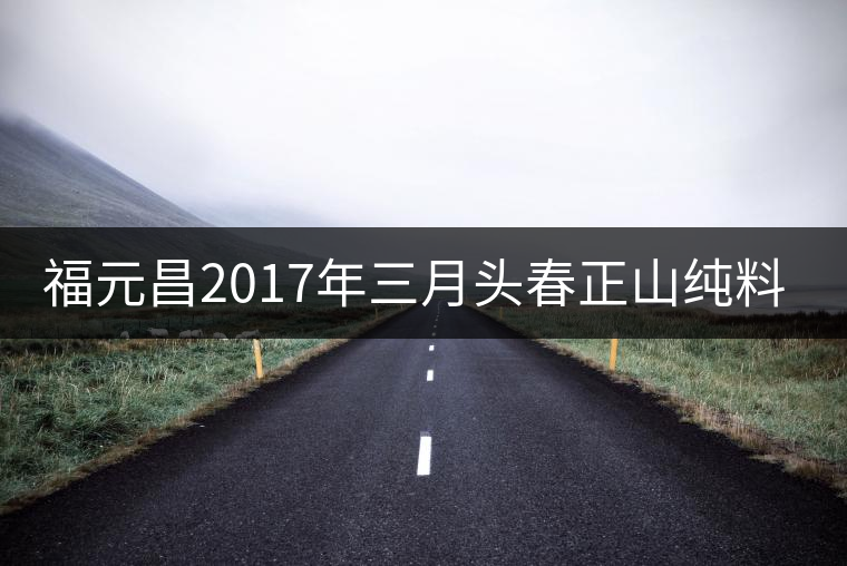 福元昌2017年三月頭春正山純料357克餅即將上市 福元昌2017年三月頭春正山純料357克餅即將上市