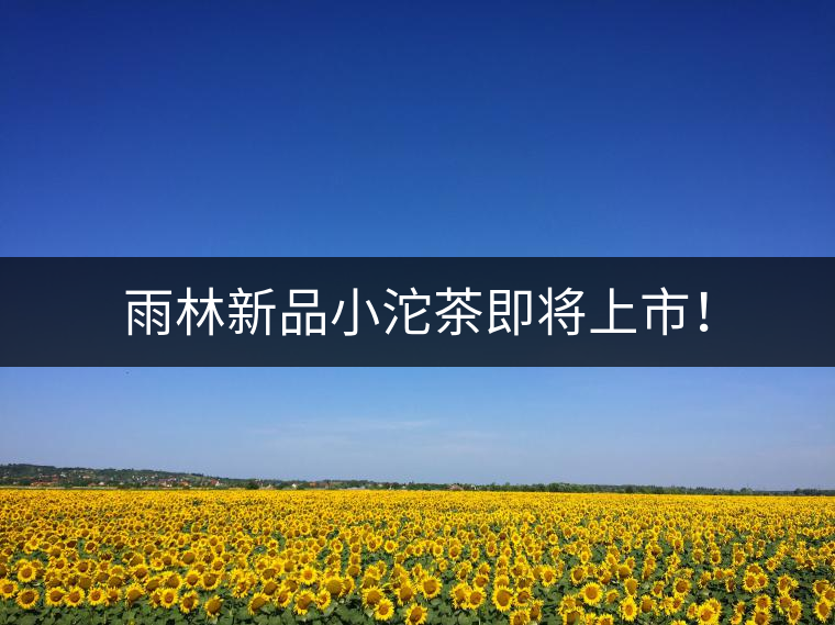 雨林新品小沱茶即將上市！