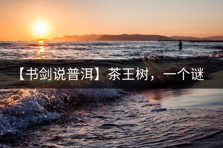 【書劍說普洱】茶王樹，一個謎一樣的地方