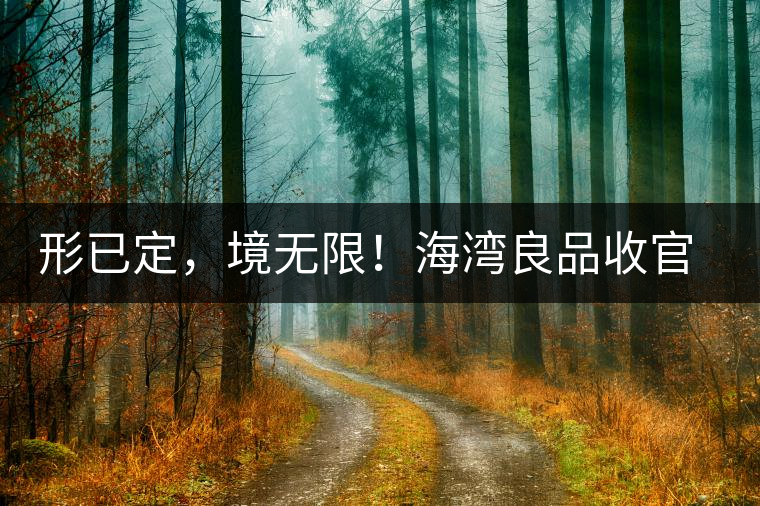 形已定，境無限！海灣良品收官季『良禪品』