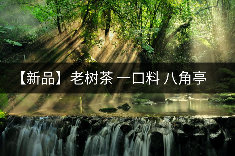 【新品】老樹茶 一口料 八角亭滑竹梁子上市在即! 【新品】老樹茶 一口料 八角亭滑竹梁子上市在即!
